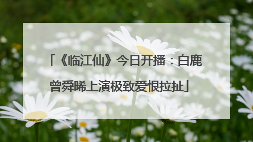 《临江仙》今日开播：白鹿曾舜晞上演极致爱恨拉扯