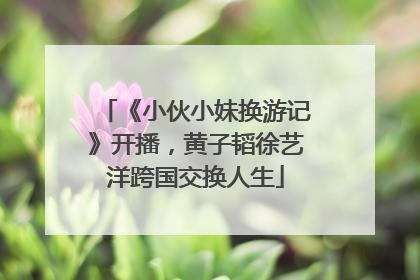 《小伙小妹换游记》开播，黄子韬徐艺洋跨国交换人生