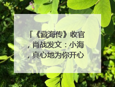 《藏海传》收官，肖战发文：小海，真心地为你开心！你看，有这么多人懂你！
