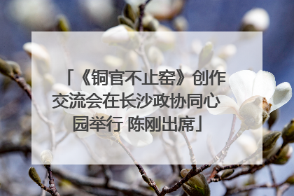 《铜官不止窑》创作交流会在长沙政协同心园举行 陈刚出席