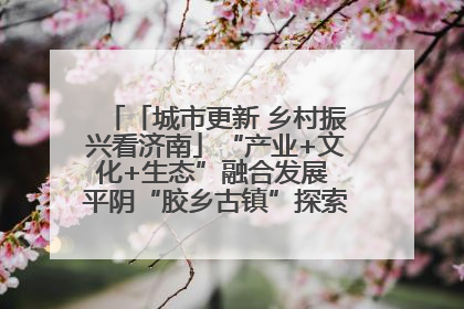 「城市更新 乡村振兴看济南」“产业+文化+生态”融合发展 平阴“胶乡古镇”探索振兴路径成效显著