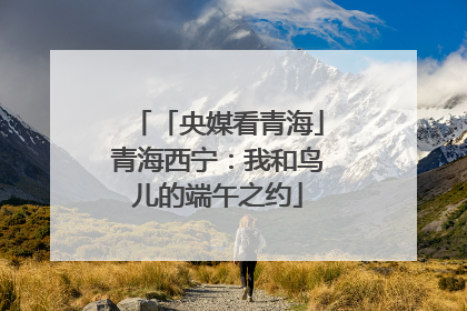 「央媒看青海」青海西宁：我和鸟儿的端午之约