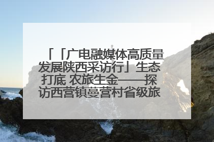 「广电融媒体高质量发展陕西采访行」生态打底 农旅生金——探访西营镇蔓营村省级旅游示范村的振兴密码