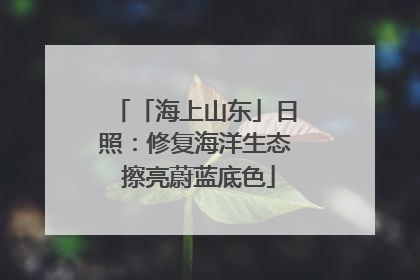 「海上山东」日照：修复海洋生态 擦亮蔚蓝底色