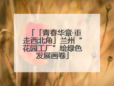 「青春华章·重走西北角」兰州“花园工厂”绘绿色发展画卷