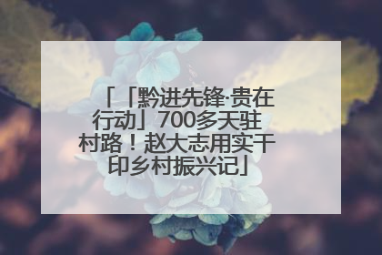 「黔进先锋·贵在行动」700多天驻村路！赵大志用实干印乡村振兴记