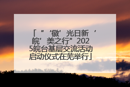 “‘徽’光日新‘皖’美之行”2025皖台基层交流活动启动仪式在芜举行
