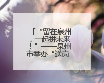 “留在泉州，一起拼未来！”——泉州市举办“送岗留才”活动