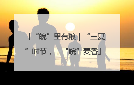 “皖”里有粮｜“三夏”时节，一“皖”麦香