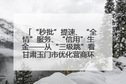 “秒批”提速、“全情”服务、“信用”生金——从“三级跳”看甘肃玉门市优化营商环境的进阶之路
