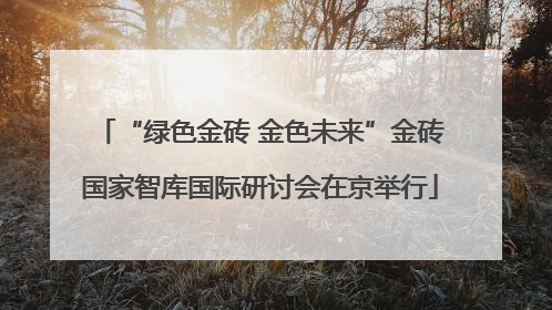 “绿色金砖 金色未来”金砖国家智库国际研讨会在京举行