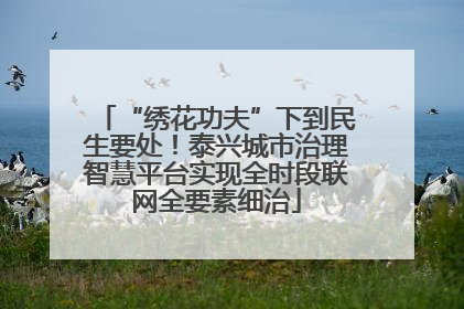 “绣花功夫”下到民生要处！泰兴城市治理智慧平台实现全时段联网全要素细治