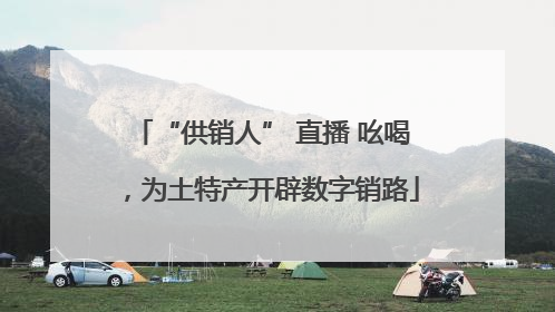 “供销人” 直播 吆喝，为土特产开辟数字销路