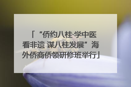 “侨约八桂·学中医 看非遗 谋八桂发展”海外侨商侨领研修班举行