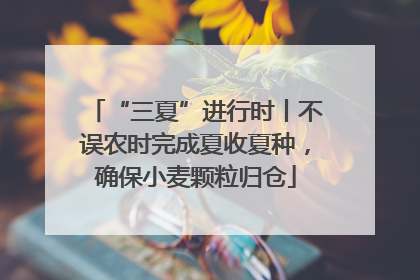 “三夏”进行时丨不误农时完成夏收夏种，确保小麦颗粒归仓