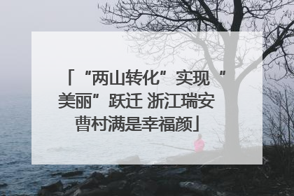 “两山转化”实现“美丽”跃迁 浙江瑞安曹村满是幸福颜