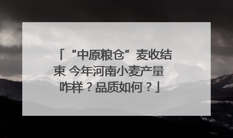 “中原粮仓”麦收结束 今年河南小麦产量咋样？品质如何？