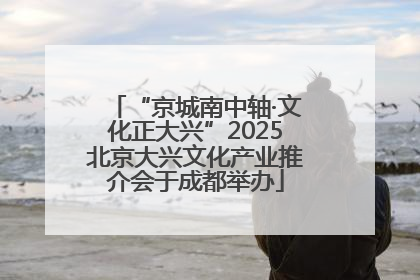 “京城南中轴·文化正大兴”2025北京大兴文化产业推介会于成都举办