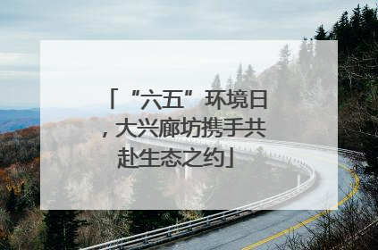 “六五”环境日，大兴廊坊携手共赴生态之约