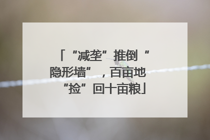 “减垄”推倒“隐形墙”，百亩地“捡”回十亩粮