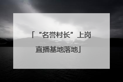 “名誉村长”上岗 直播基地落地