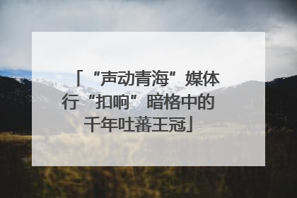 “声动青海”媒体行“扣响”暗格中的千年吐蕃王冠