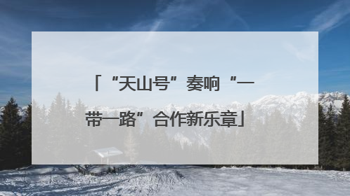 “天山号”奏响“一带一路”合作新乐章