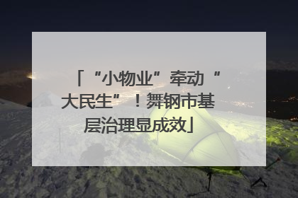 “小物业”牵动“大民生”！舞钢市基层治理显成效