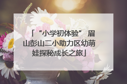 “小学初体验” 眉山彭山二小助力区幼萌娃探秘成长之旅