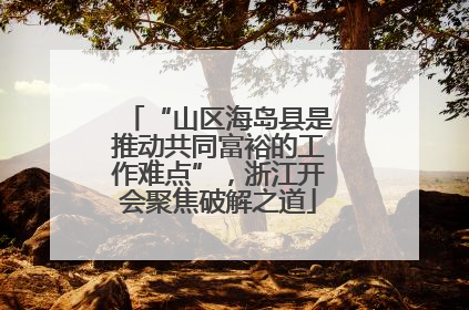 “山区海岛县是推动共同富裕的工作难点”，浙江开会聚焦破解之道