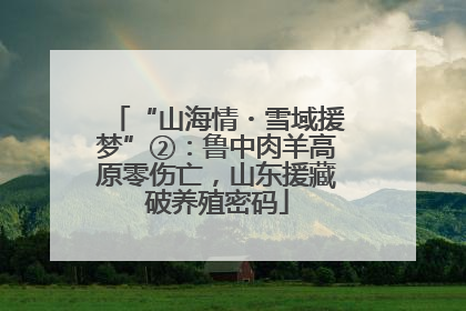 “山海情・雪域援梦”②：鲁中肉羊高原零伤亡，山东援藏破养殖密码