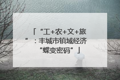 “工+农+文+旅”：丰城市镇域经济“蝶变密码”