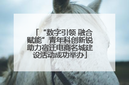 “数字引领 融合赋能”青年科创新锐助力宿迁电商名城建设活动成功举办