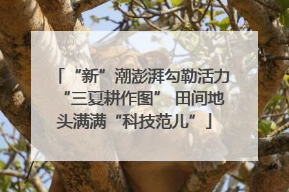 “新”潮澎湃勾勒活力“三夏耕作图” 田间地头满满“科技范儿”