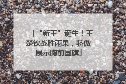 “新王”诞生！王楚钦战胜雨果，骄傲展示胸前国旗