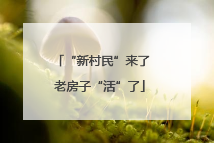 “新村民”来了 老房子“活”了