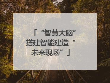 “智慧大脑”搭建智能建造“未来现场”