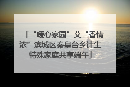 “暖心家园”艾“香情浓”滨城区秦皇台乡计生特殊家庭共享端午
