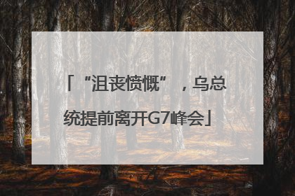 “沮丧愤慨”，乌总统提前离开G7峰会