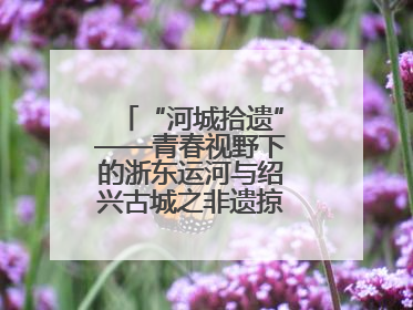 “河城拾遗”——青春视野下的浙东运河与绍兴古城之非遗掠影暨浙江传媒学院小学期来绍