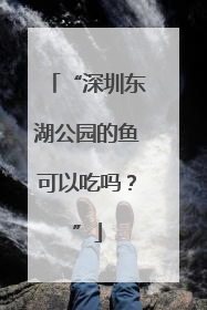 “深圳东湖公园的鱼可以吃吗？”