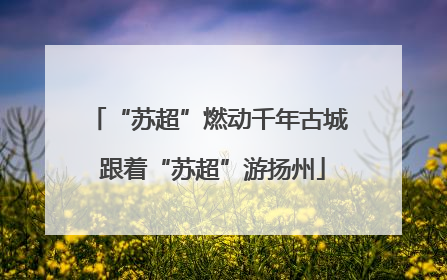 “苏超”燃动千年古城 跟着“苏超”游扬州