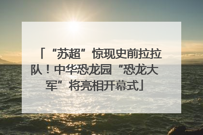 “苏超”惊现史前拉拉队！中华恐龙园“恐龙大军”将亮相开幕式