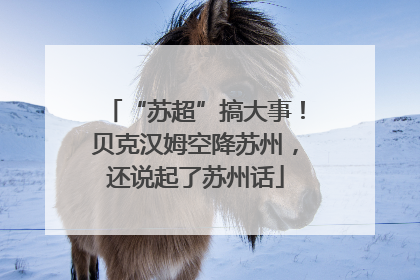 “苏超”搞大事！贝克汉姆空降苏州，还说起了苏州话