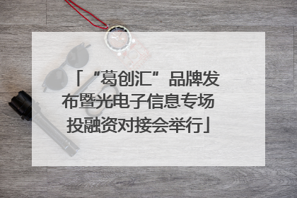 “葛创汇”品牌发布暨光电子信息专场投融资对接会举行