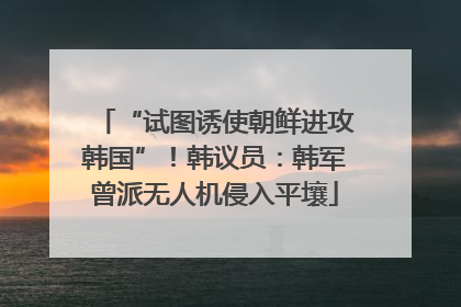 “试图诱使朝鲜进攻韩国”！韩议员：韩军曾派无人机侵入平壤