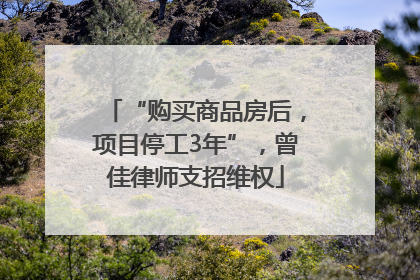 “购买商品房后，项目停工3年”，曾佳律师支招维权