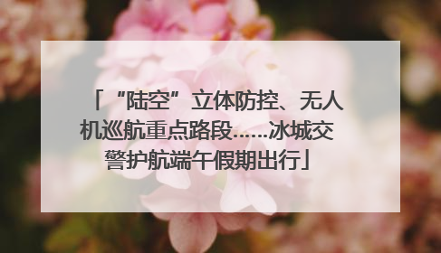 “陆空”立体防控、无人机巡航重点路段……冰城交警护航端午假期出行
