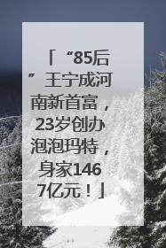 “85后”王宁成河南新首富，23岁创办泡泡玛特，身家1467亿元！