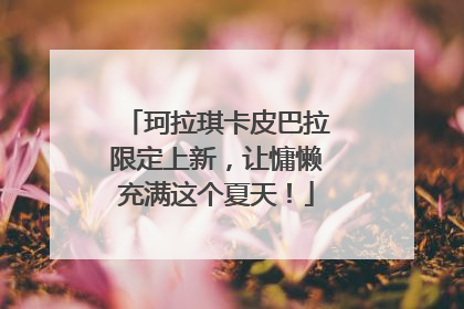 珂拉琪卡皮巴拉限定上新，让慵懒充满这个夏天！